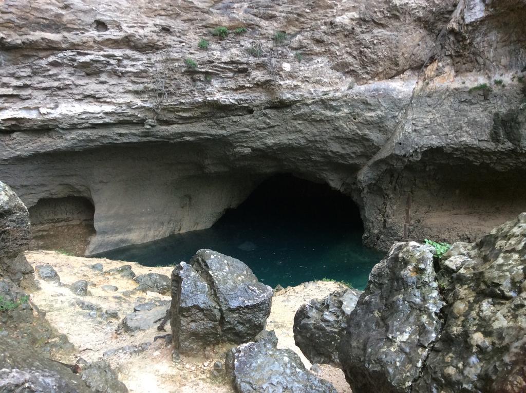 Mas De La Coucourde Acomodação com café da manhã Paluds de Noves Exterior foto